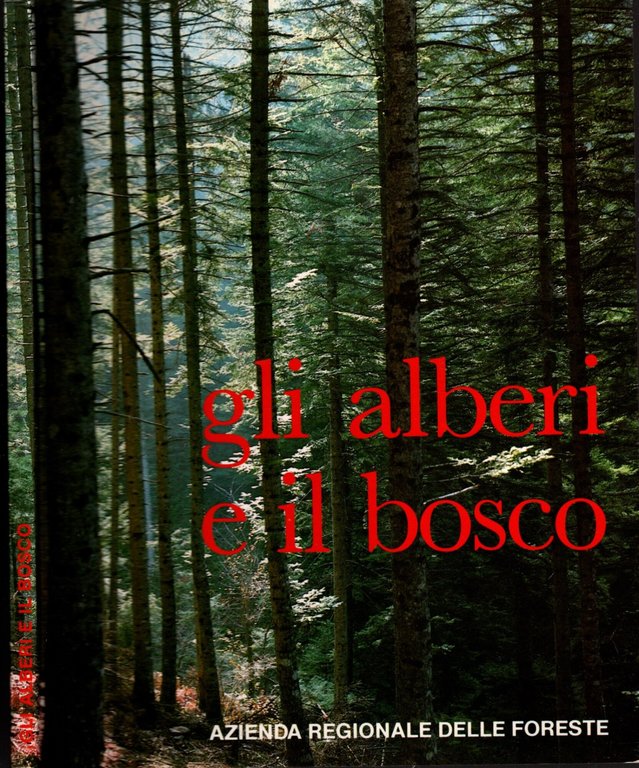 GLI ALBERI E IL BOSCO