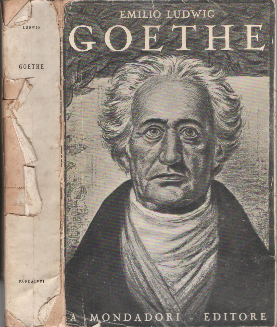 Goethe, Storia Di Un Uomo di Ludwig Emilio
