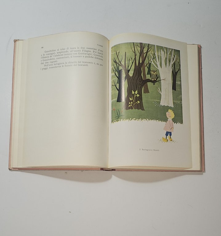 Gomitolino Yambo Campaggi Illustrazioni Vallecchi 1955 Libro Vintage | Immagine Gallery 5