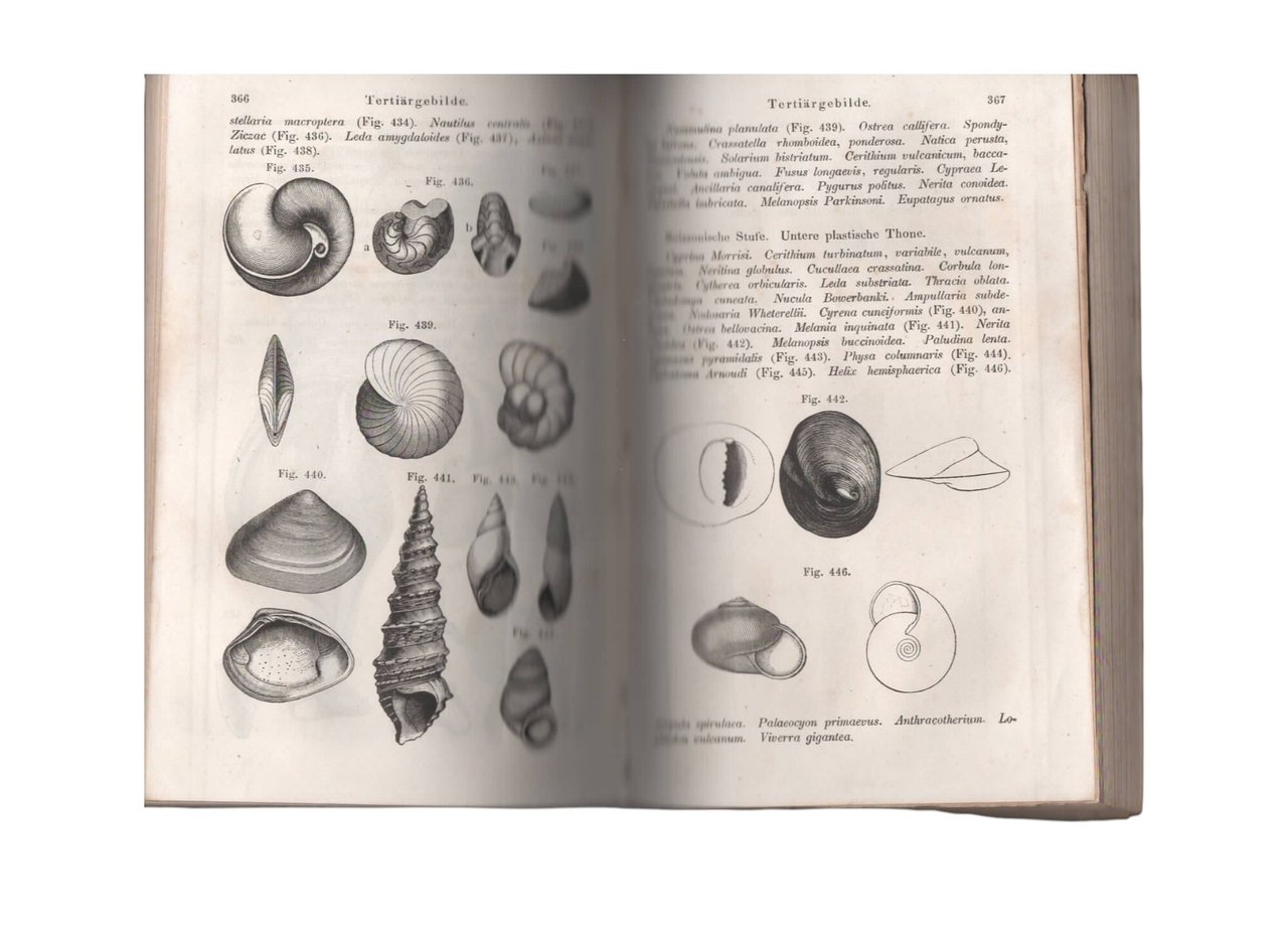 Grundriss der Geologie von Carl Vogt