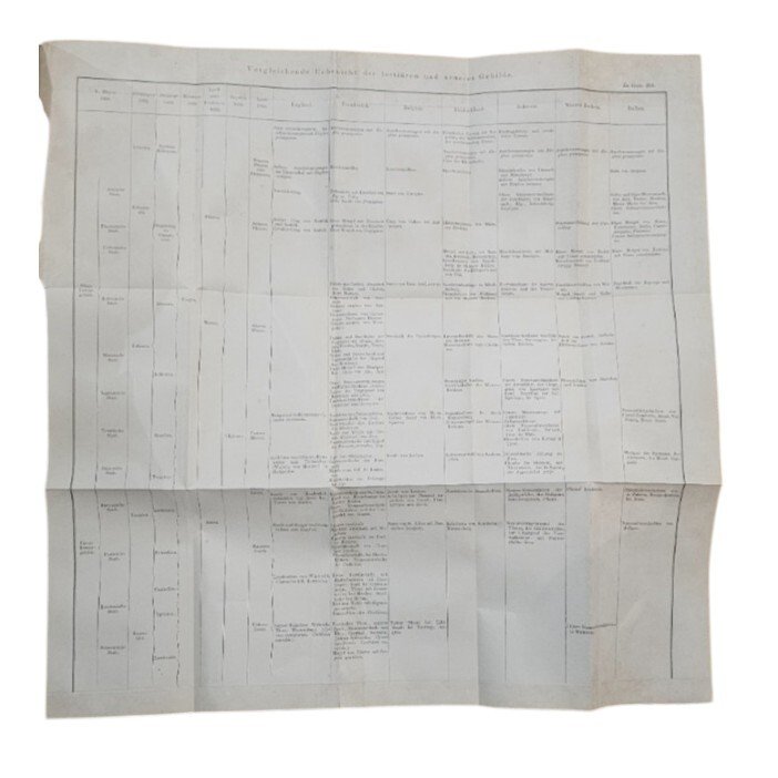 Grundriss der Geologie von Carl Vogt