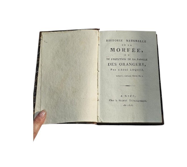 Histoire Naturelle De La Morfee Ou De L'infection De La …