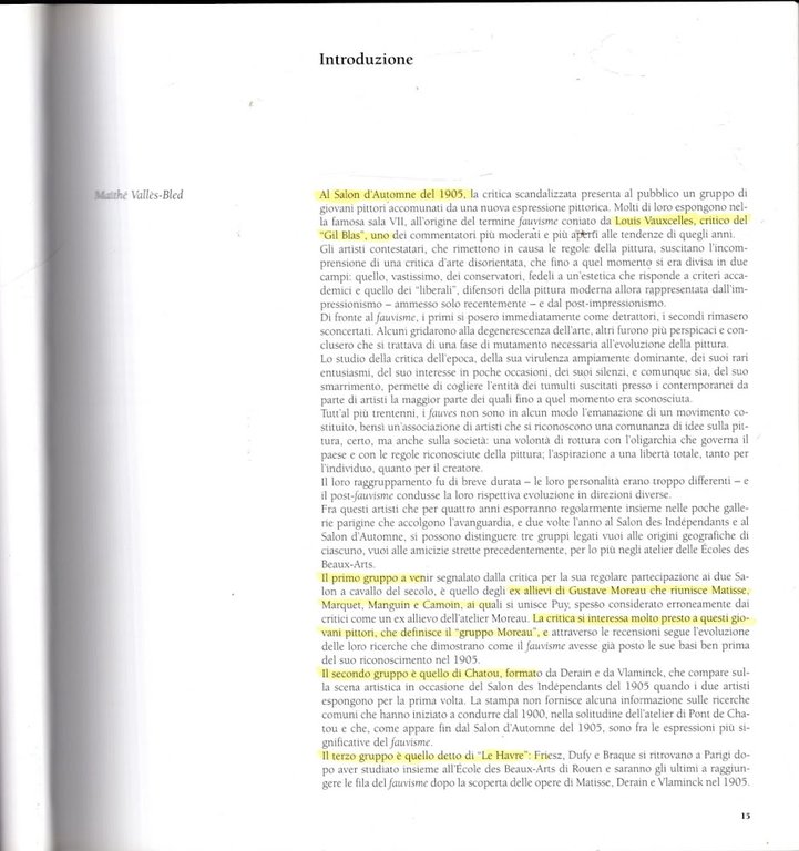 I fauves e la critica. Uno scandalo annunciato. Matisse, Derain, …