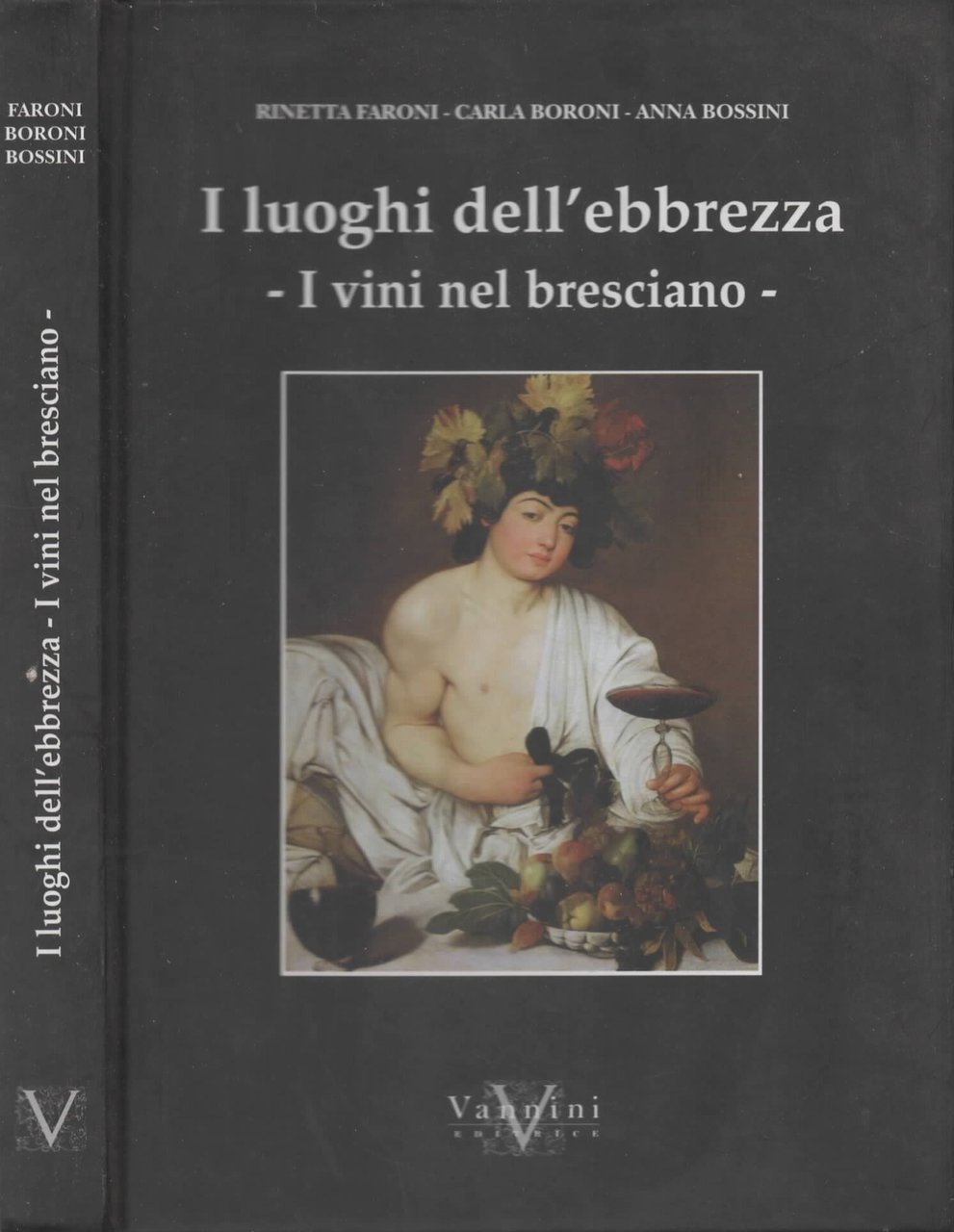 I luoghi dell'ebbrezza. I vini nel bresciano