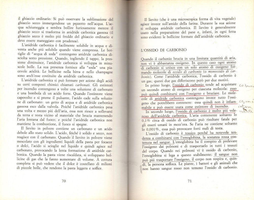 I mattoni dell'universo