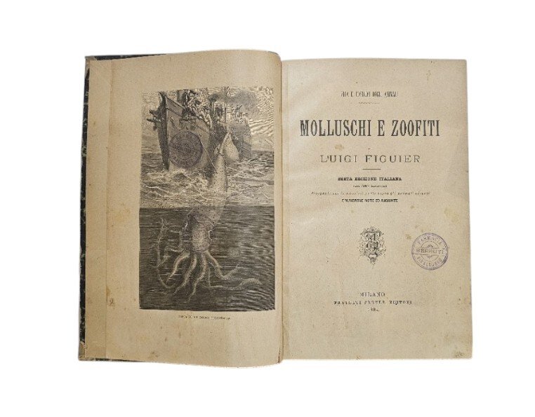 I molluschi e i zoofiti. La vita e i costumi …