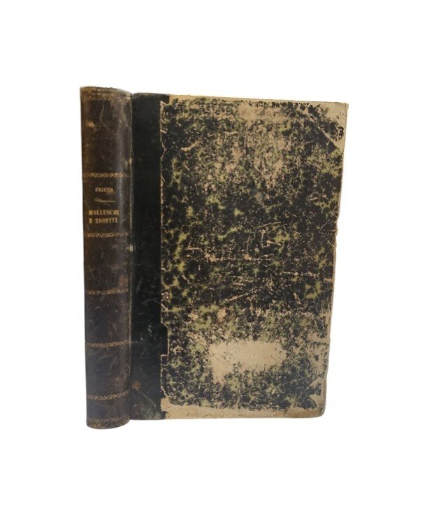 I molluschi e i zoofiti. La vita e i costumi …