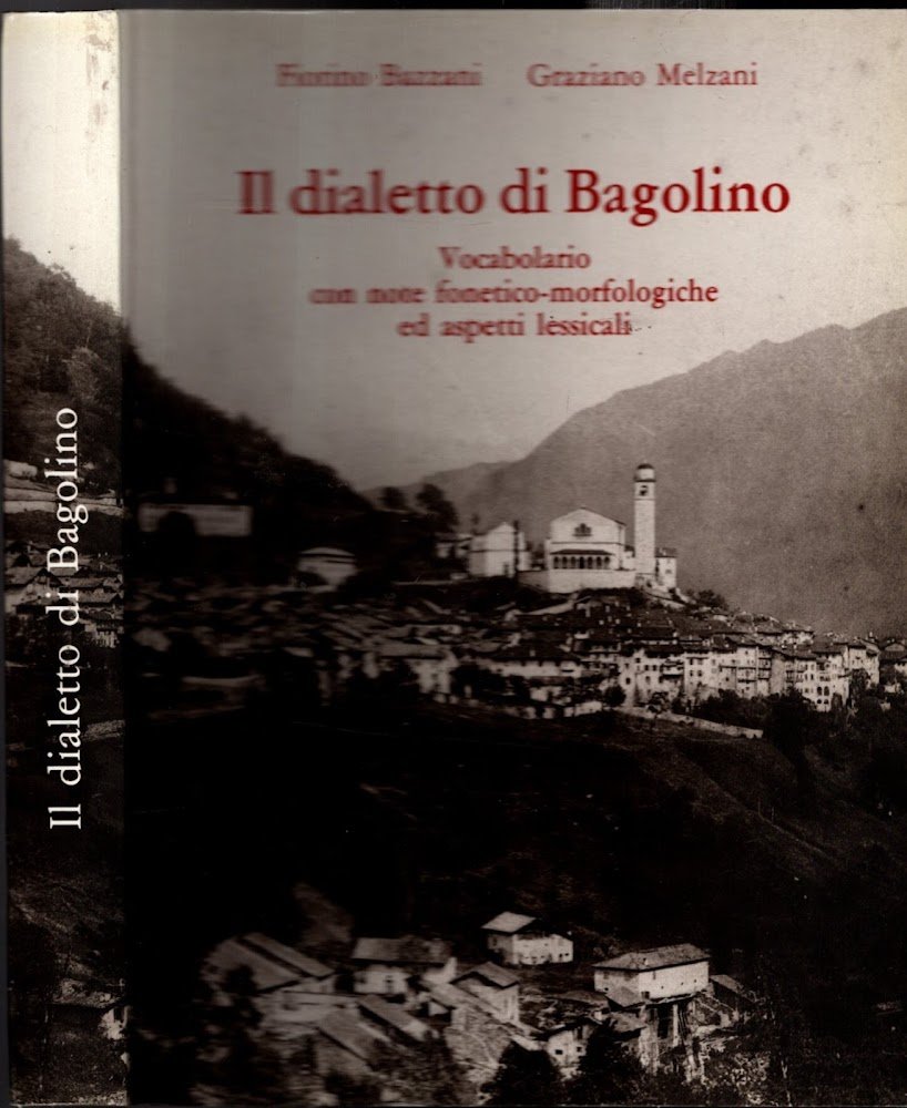 Il dialetto di Bagolino. Vocabolario con note fonetico-morfologiche ed aspetti …