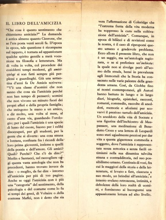IL LIBRO DELL'AMICIZIA