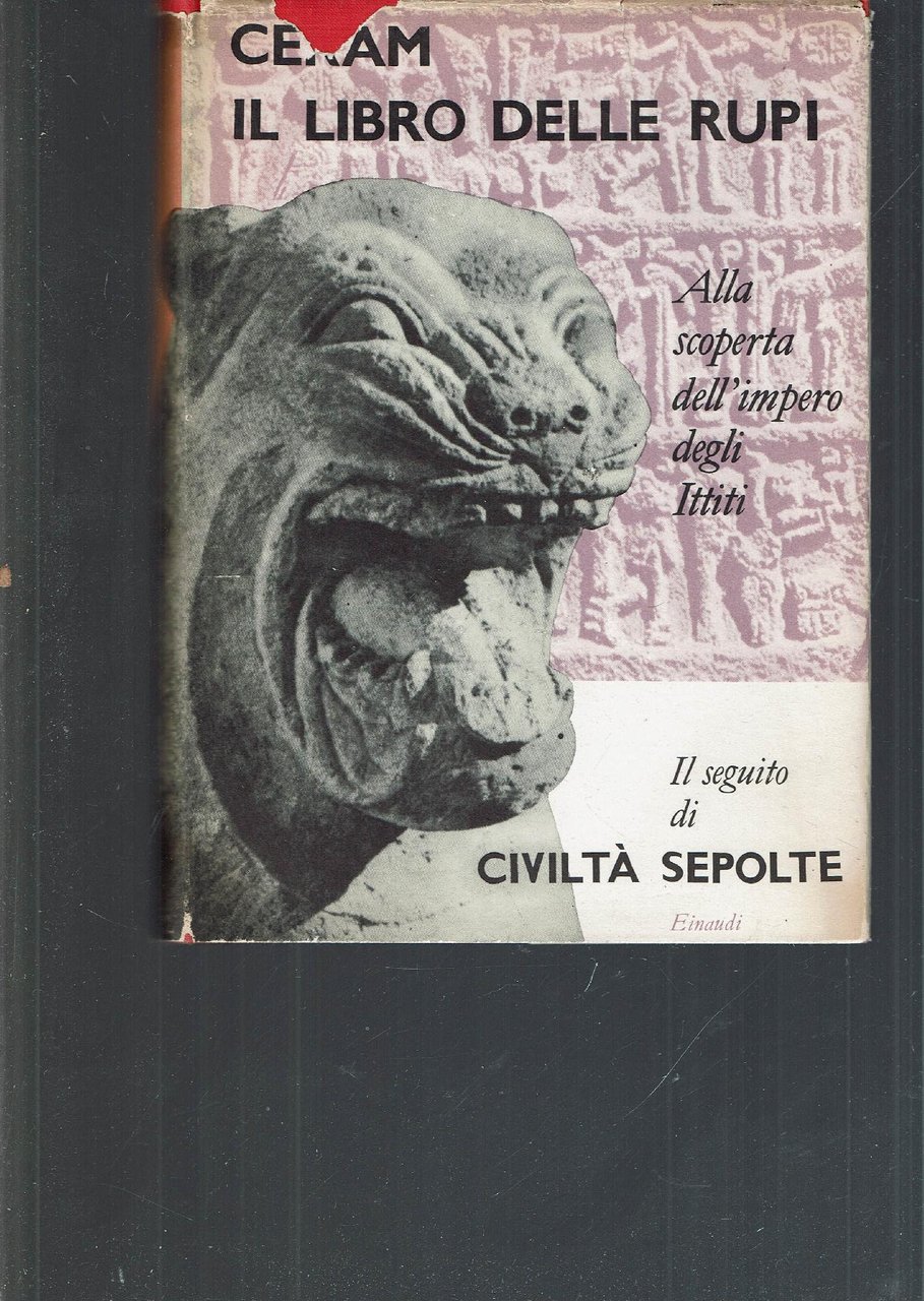 IL LIBRO DELLE RUPI**