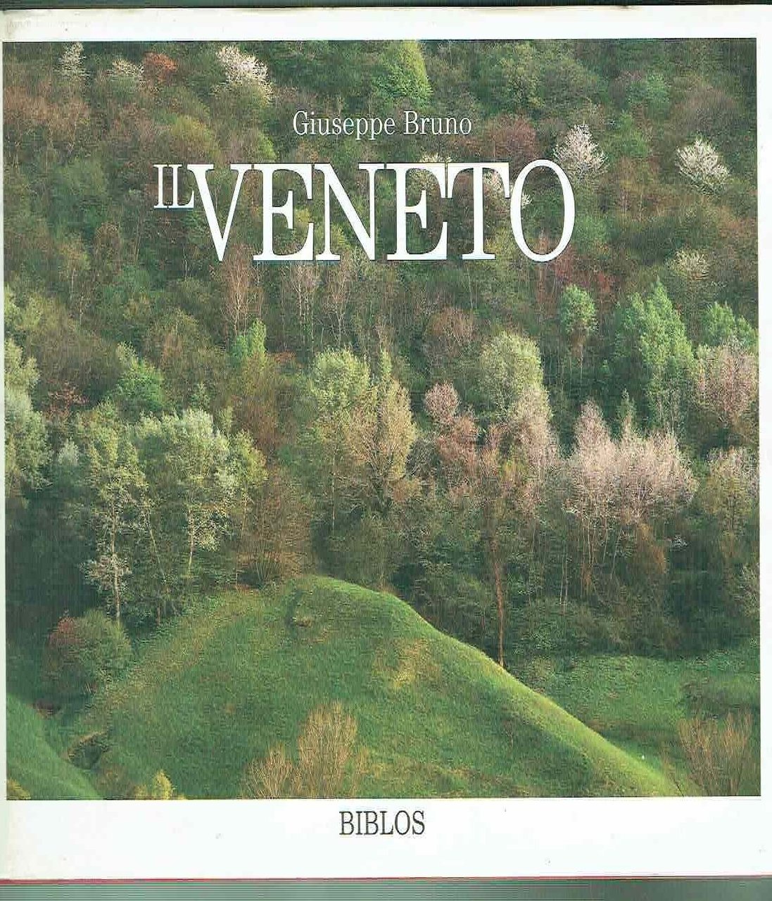 IL VENETO ** GIUSEPPE BRUNO ** BIBLOS 1984