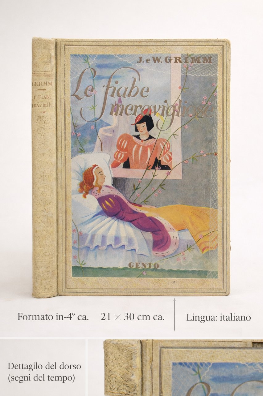 Jacob e Wilhelm Grimm - Le fiabe meravigliose | Immagine principale