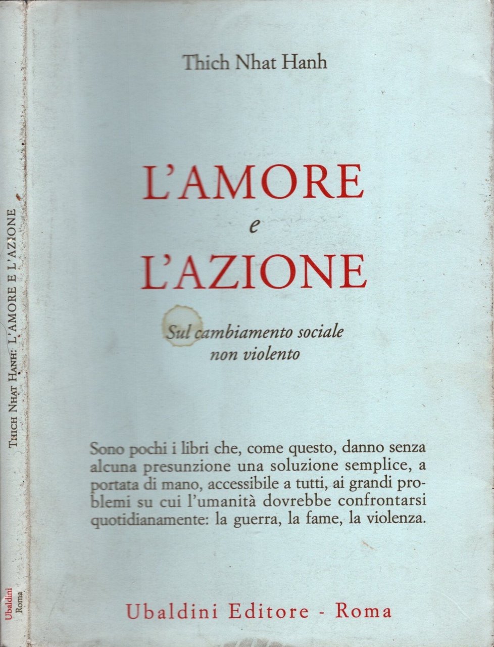L'amore e l'azione. Sul cambiamento sociale non violento