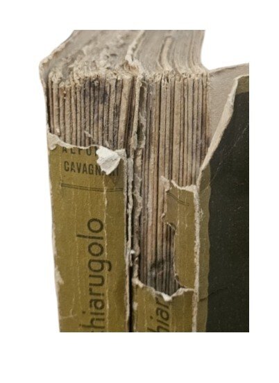 La fata di Montechiarugolo di Alfonso Cavagnari 2 volumi