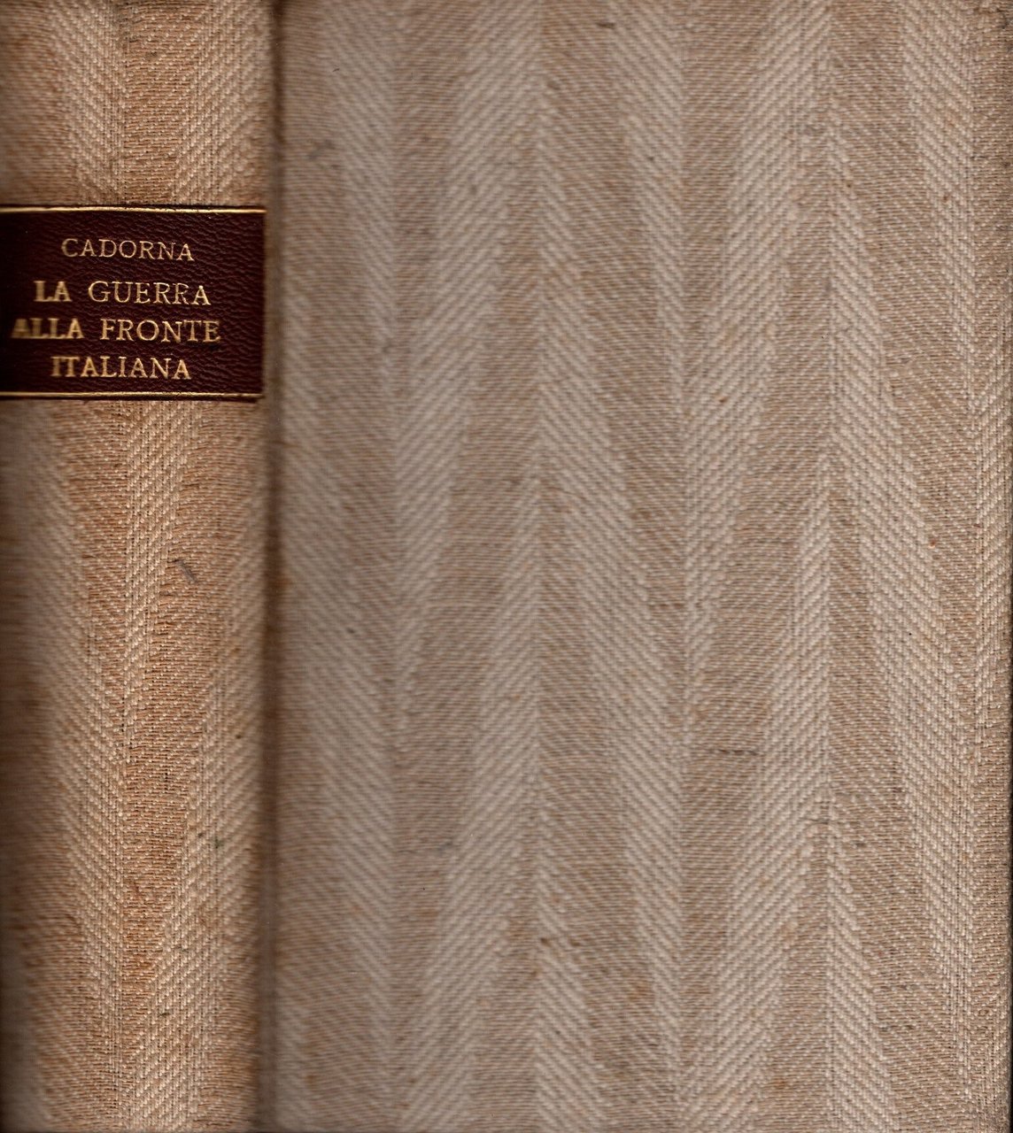 La guerra alla fronte italiana (23 maggio 1915 - 9 …