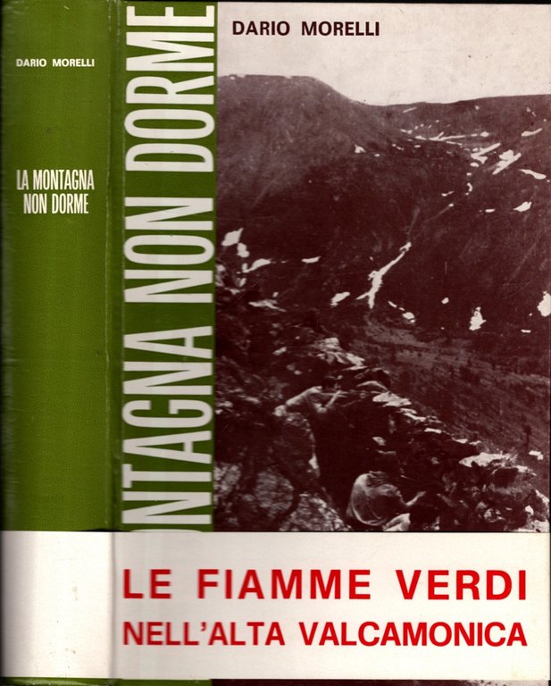 La montagna non dorme le Fiamme Verdi nell'alta Valcamonica**