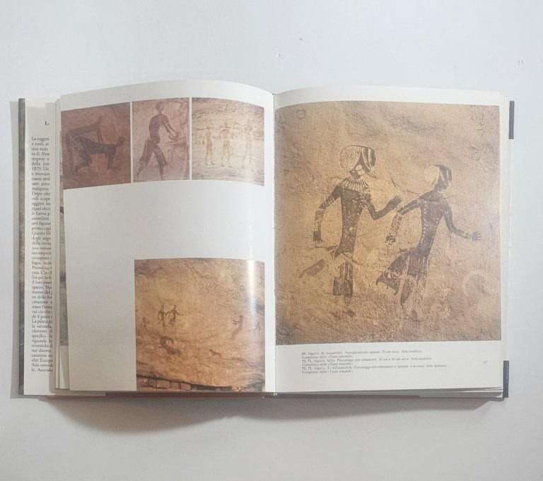 La preistoria Denis Vialou libro illustrato arte rupestre storia antica | Immagine Gallery 5