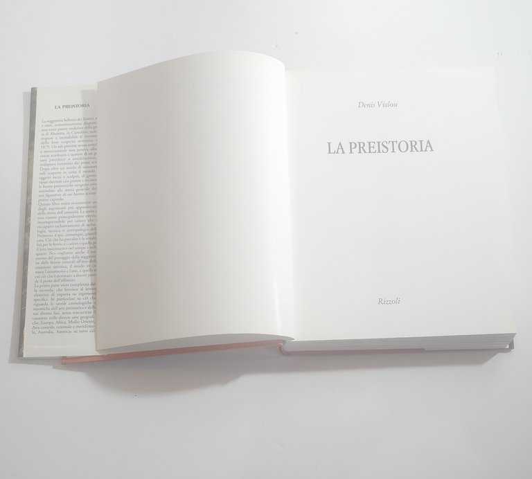 La preistoria Denis Vialou libro illustrato arte rupestre storia antica | Immagine Gallery 3