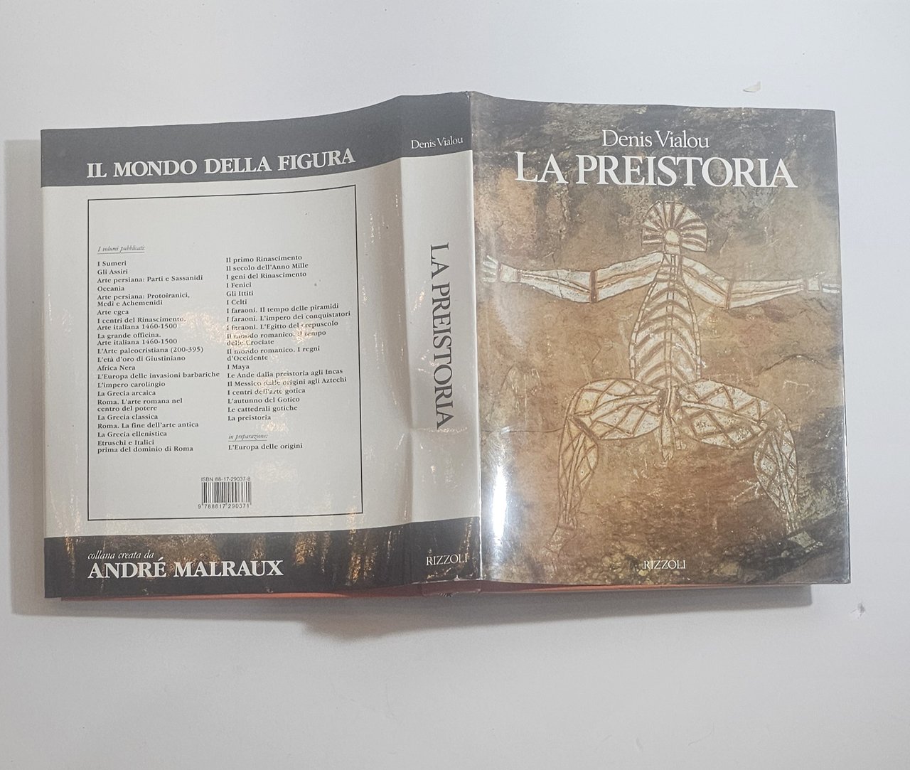 La preistoria Denis Vialou libro illustrato arte rupestre storia antica | Immagine principale