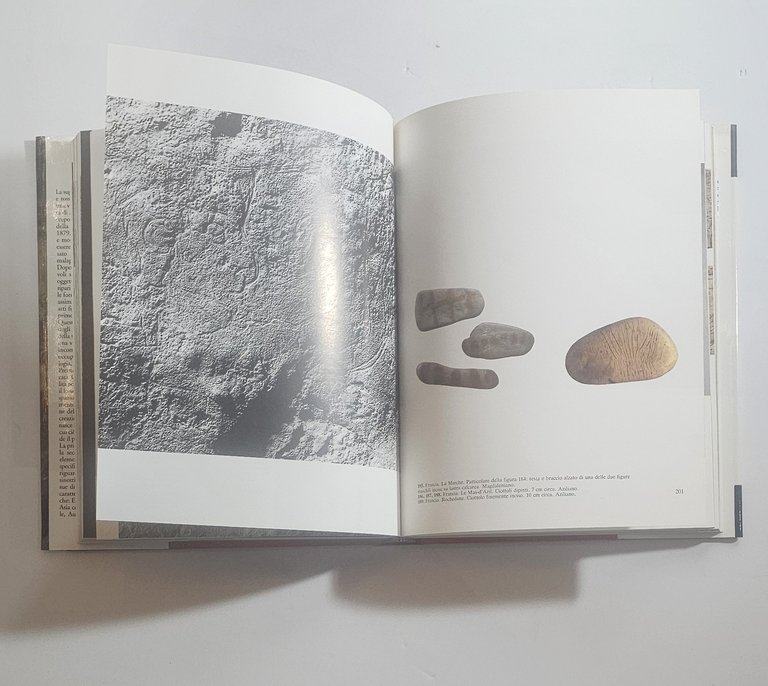 La preistoria Denis Vialou libro illustrato arte rupestre storia antica | Immagine Gallery 4