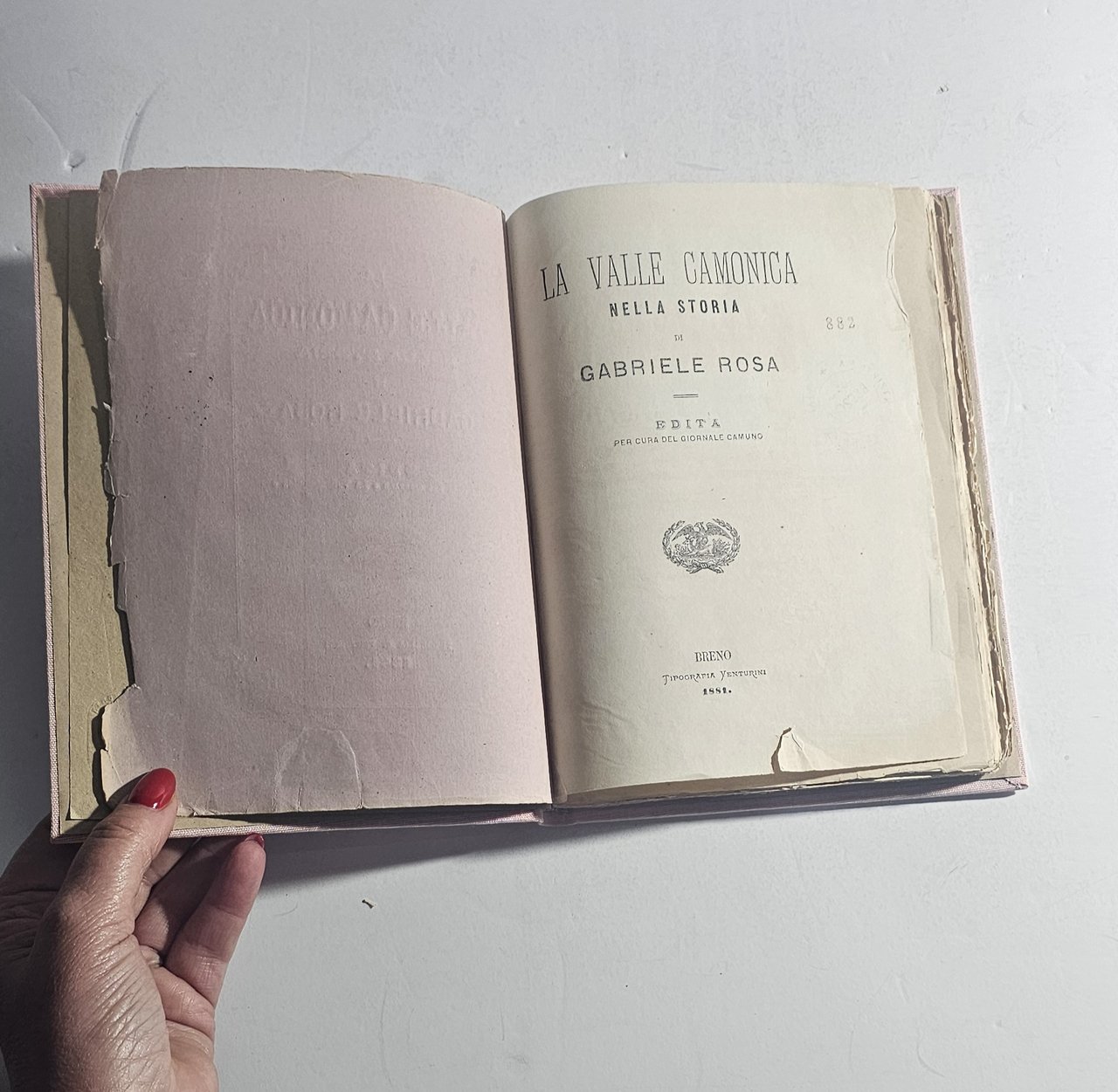 La Valle Camonica nella Storia – Gabriele Rosa (1881) | … | Immagine principale