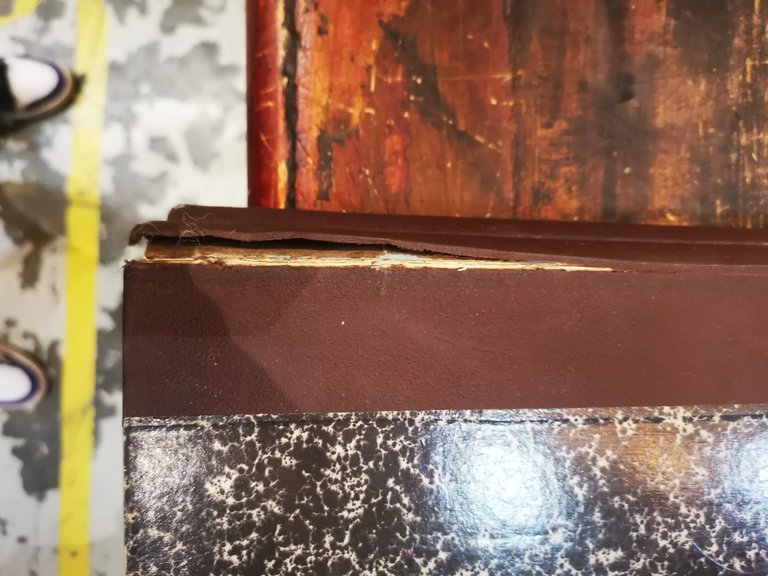 LE MONDE ILLUSTRE 1895 DUE VOLUMI