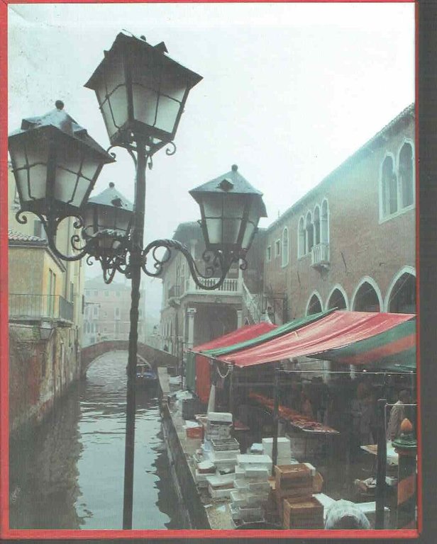 LE PIAZZE DELLE ERBE