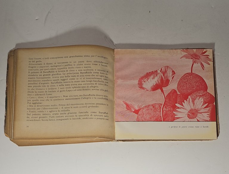 Lena e il Bombo Orsola Nemi libro vintage illustrato Rosa … | Immagine Gallery 6