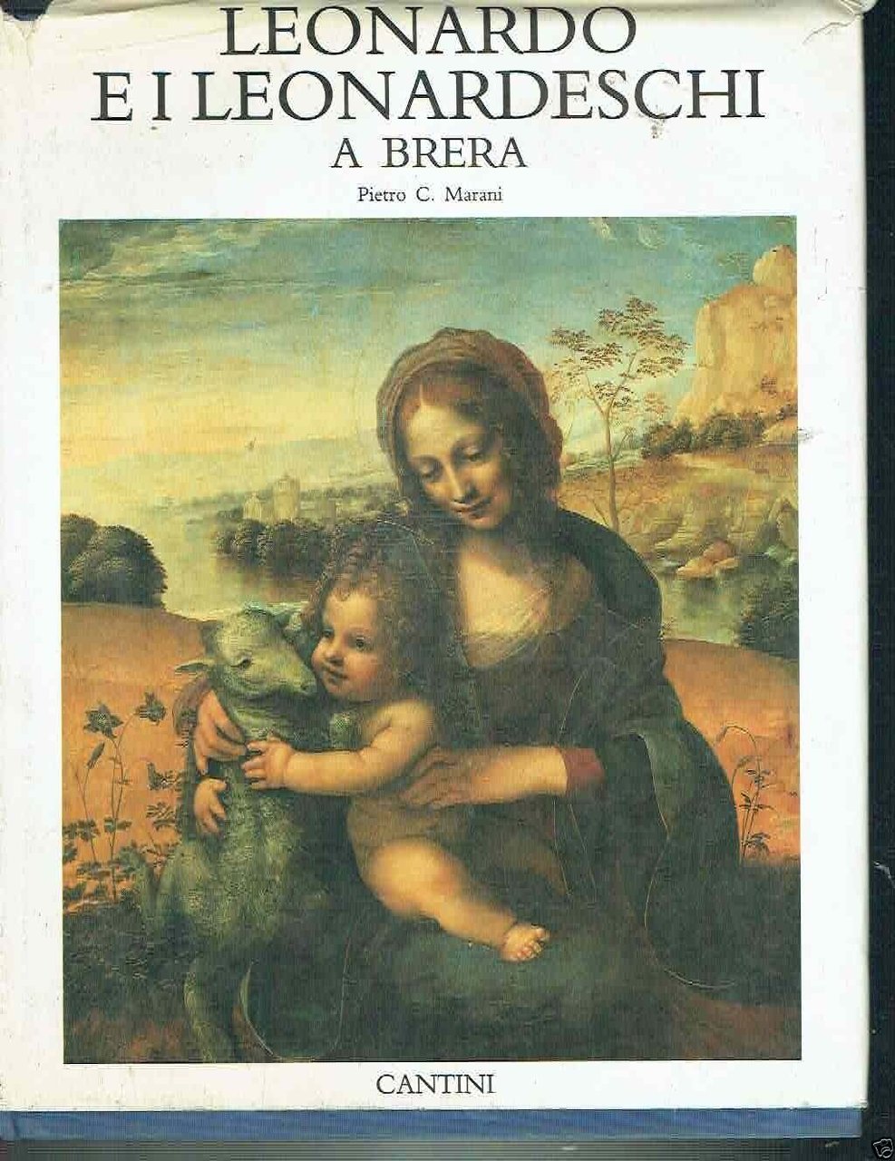 LEONARDO E I LEONARDESCHI A BRERA
