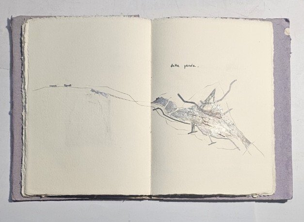 Libro d'artista Mauro Corradini per i segni di Danilo Guidetti