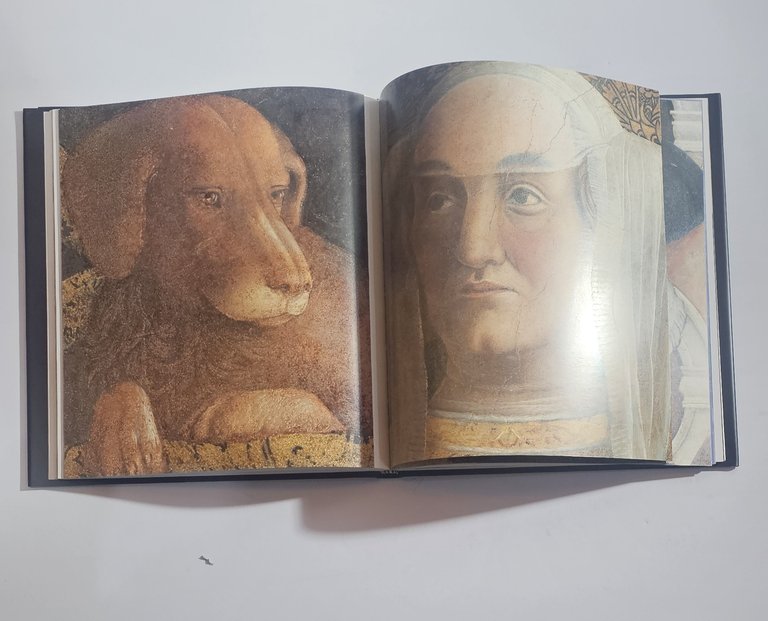 Mantegna libro arte banco Ambrosiano Veneto salmazo pittura rinascimentale catalogo … | Immagine Gallery 2