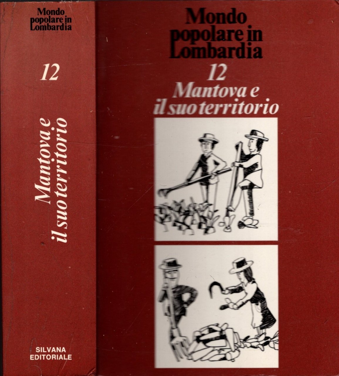 Mantova e il suo territorio