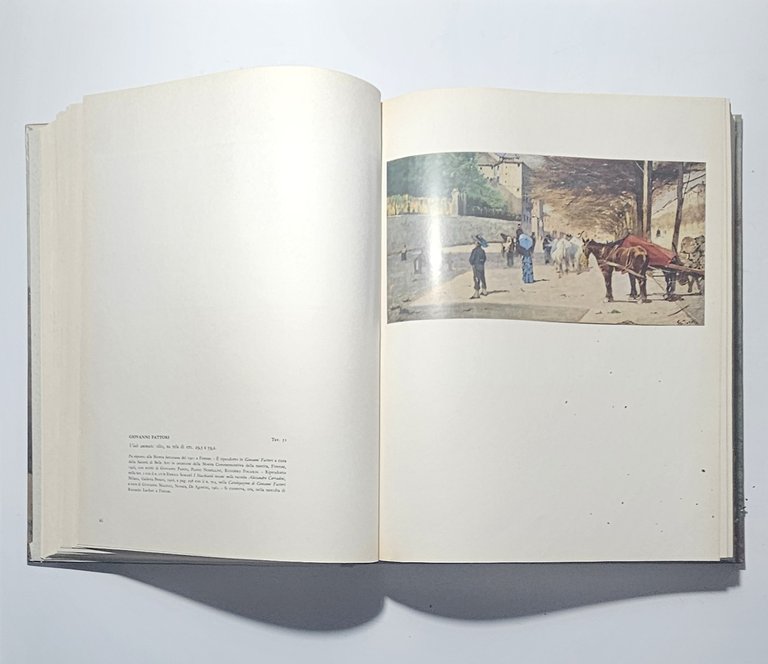 Mario Borgiotti Genio Dei Macchiaioli Opera Completa In Due Volumi | Immagine Gallery 5