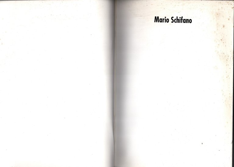 Mario Schifano : una collezione 60/70