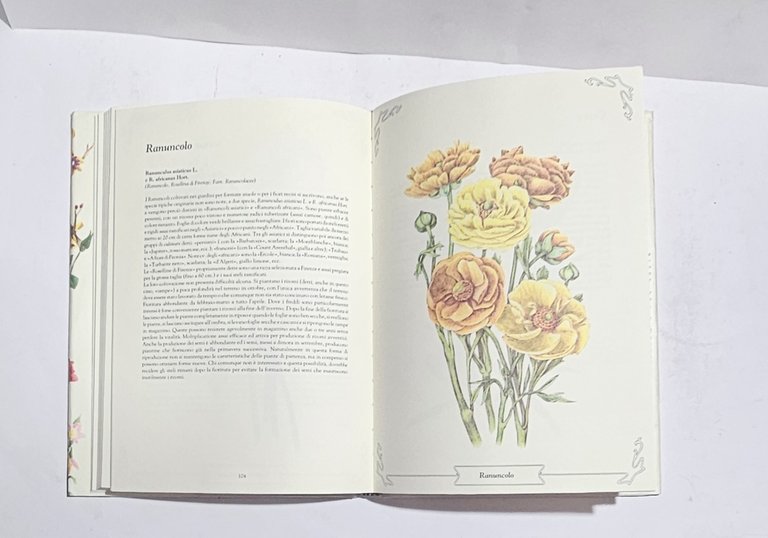 Marta Marzotto Ditelo con i Fiori Libro Illustrato Botanica Edizioni … | Immagine Gallery 2