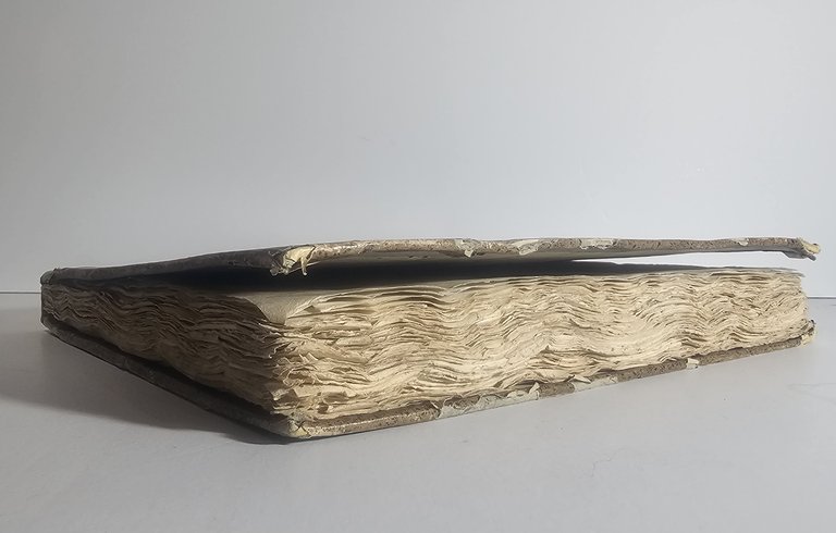 Memorie storico-critiche sulla tipografia bresciana – Brescia 1811 | Immagine Gallery 4