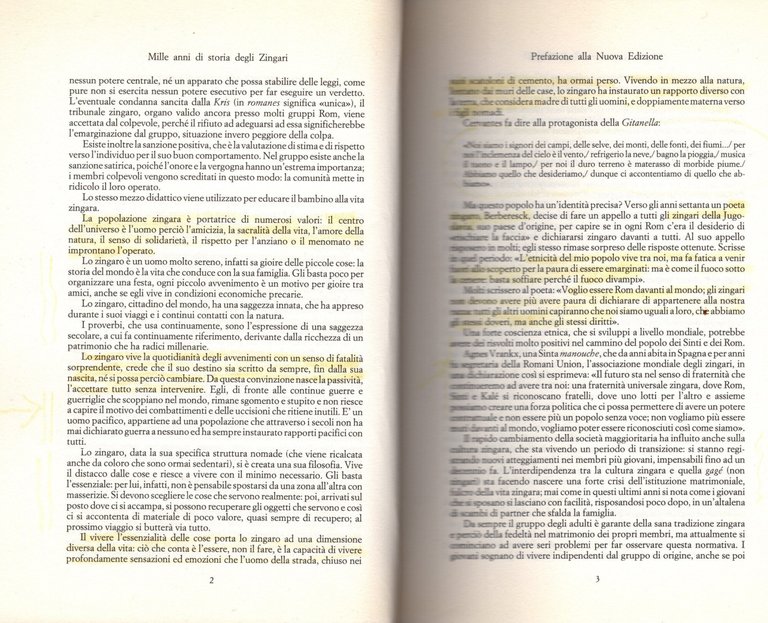 Mille anni di storia degli zingari