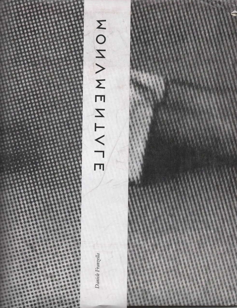 Monumentale di Daniele Franzella