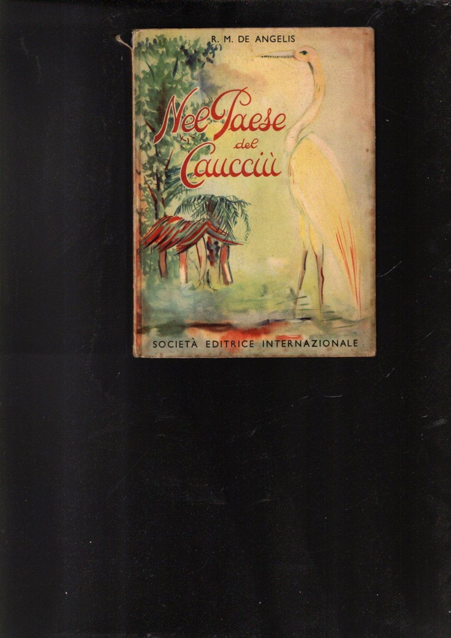 NEL PAESE DEL CAUCCIU' - VIAGGIO IN BRASILE