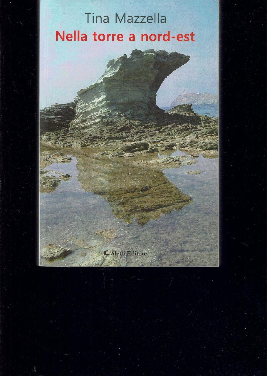Nella torre a nord-est