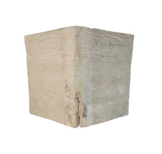 Opus Divinum de sacra ac fertili bergomensi Vinea, ex diversis …