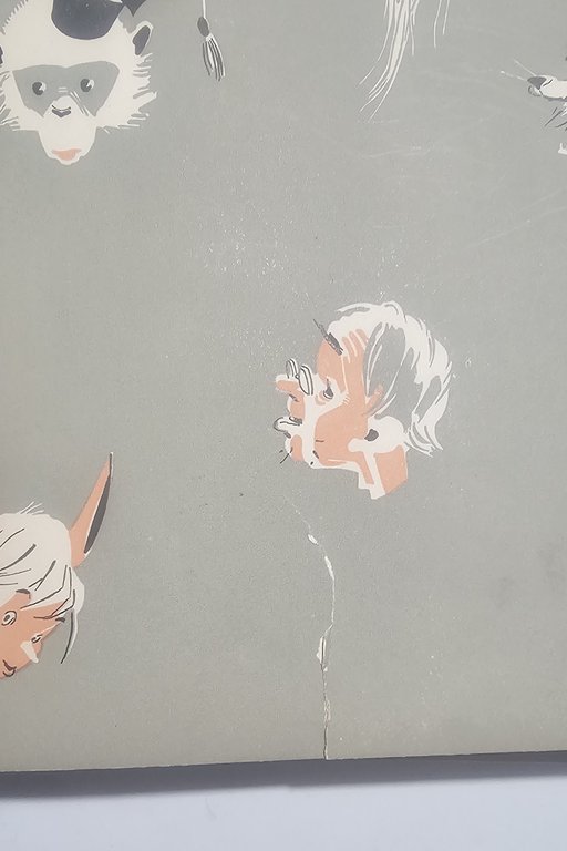 Pinocchio Collodi Illustrato Faorzi Edizione Salani Libro Vintage Illustrato | Immagine Gallery 4