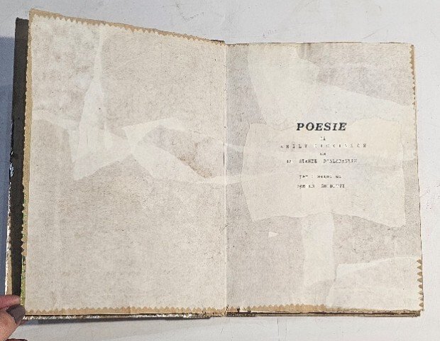 Poesie di Emily Dickinson da Le stanze d'alabastro per i …