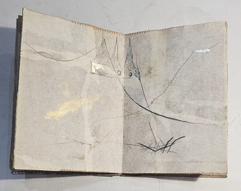 Poesie di Emily Dickinson da Le stanze d'alabastro per i …