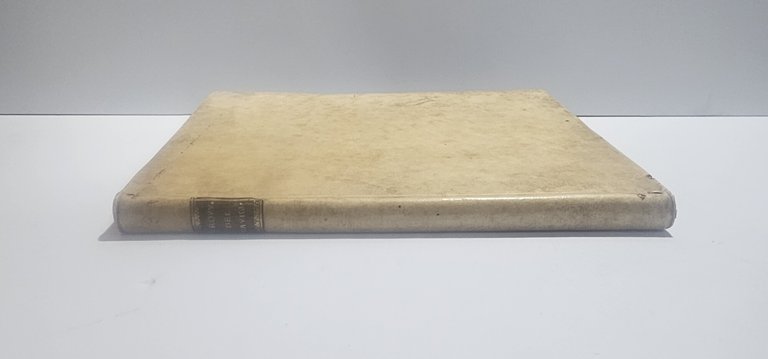 Provvisione Università del Naviglio Brescia 1777 libro antico diritto ducali … | Immagine Gallery 6