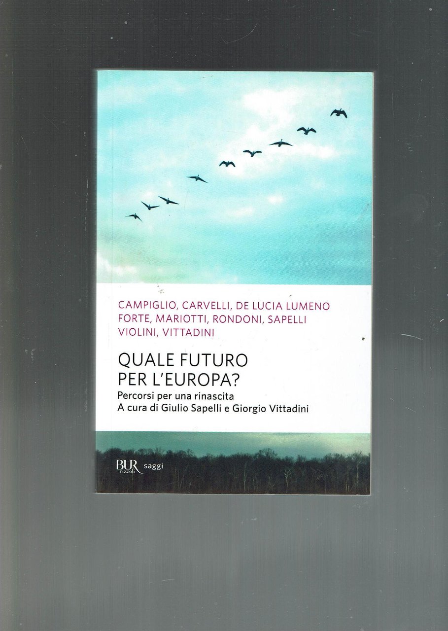 Quale futuro per l'Europa? : percorsi per una rinascita