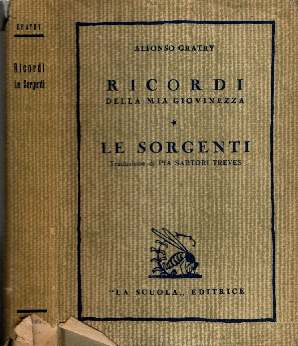 Ricordi Della Mia Giovinezza Alfonso Gratry
