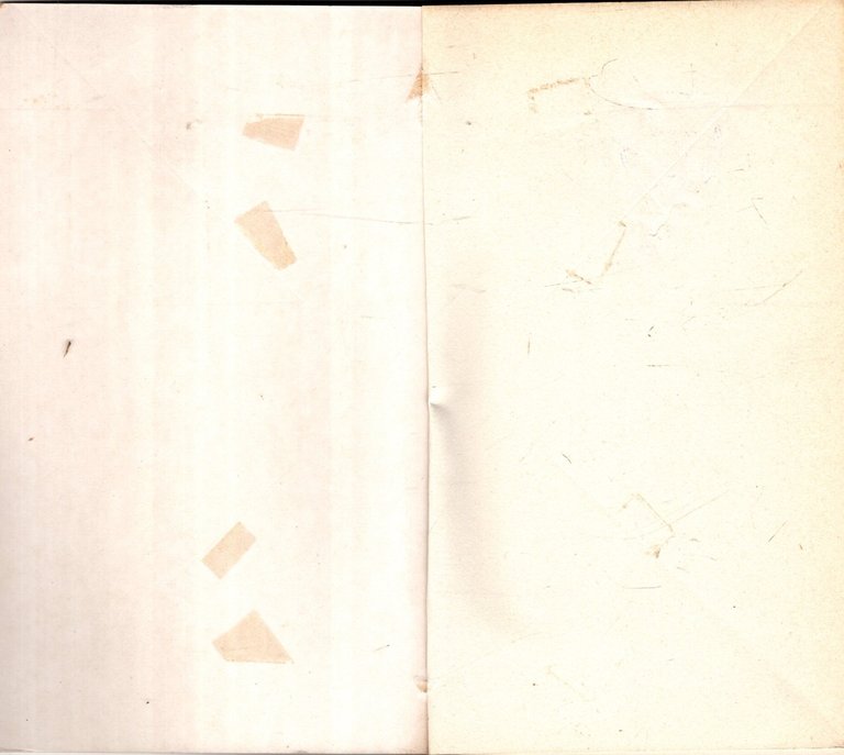 Rocky basato sulla sceneggiatura di S. Stallone | Immagine Gallery 4