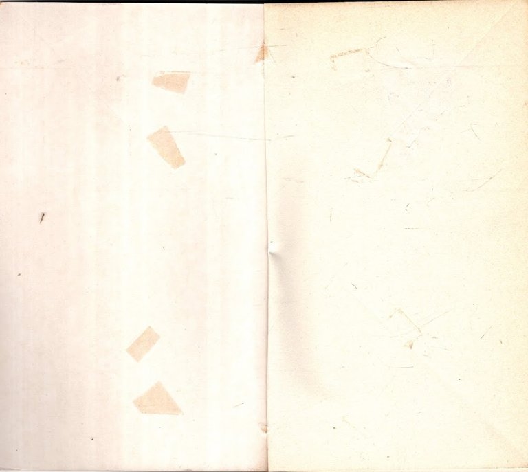 Rocky basato sulla sceneggiatura di S. Stallone | Immagine Gallery 2