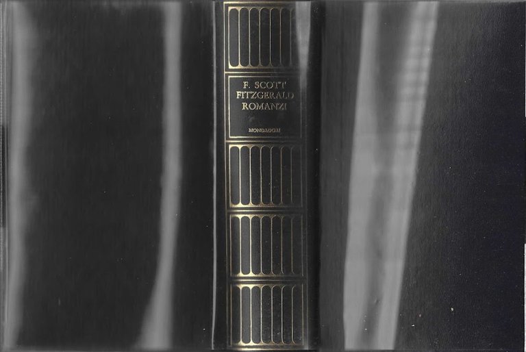 Romanzi (FITZGERALD)